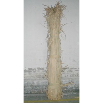 Comprar Anea ó enea  en CesteriaGretel.Com