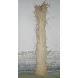 Comprar Anea ó enea  en CesteriaGretel.Com