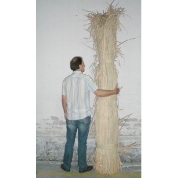 Comprar Anea ó enea  en CesteriaGretel.Com