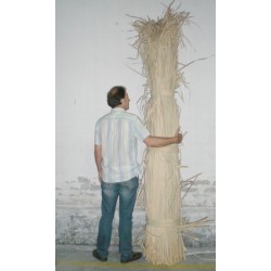 Comprar Anea ó enea  en CesteriaGretel.Com