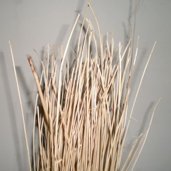 Comprar Mimbre natural en CesteriaGretel.Com