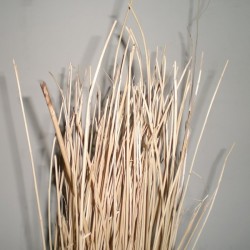 Comprar Mimbre natural en CesteriaGretel.Com