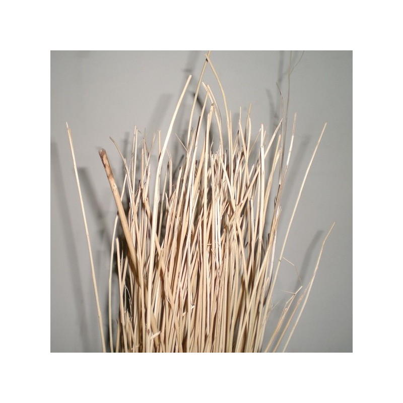 Mimbre natural 240 cm