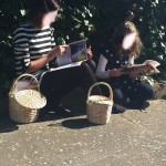 Bolso/cesta Birkin mediano