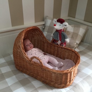 Capazo con capota para bebé REBORN