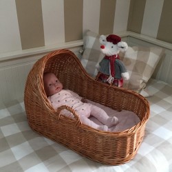 Capazo con capota para bebé REBORN