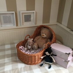 Capazo con capota para bebé REBORN