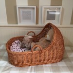 Capazo con capota para bebé REBORN