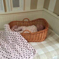 Capazo s/capota para REBORN