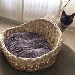 Gatera color natural