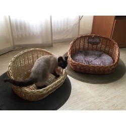 Gatera color natural