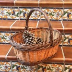 Cesta ovalada bicolor