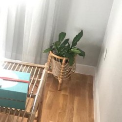 Macetero bambú natural