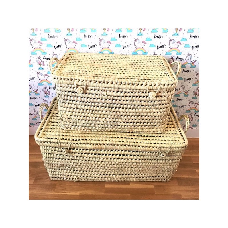 BAUL PALMA 60CM ASAS CORTAS