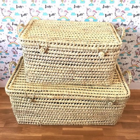 BAUL PALMA 60CM ASAS CORTAS