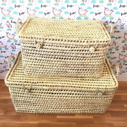 BAUL PALMA 60CM ASAS CORTAS
