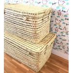 BAUL PALMA 60CM ASAS CORTAS