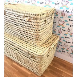 BAUL PALMA 60CM ASAS CORTAS