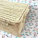 BAUL PALMA 60CM ASAS CORTAS