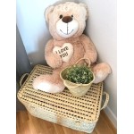 BAUL PALMA 60CM ASAS CORTAS