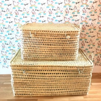 BAUL PALMA 77CM ASAS CORTAS