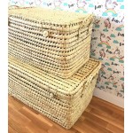 BAUL PALMA 77CM ASAS CORTAS