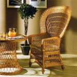 Comprar Sillón abanico buff brillo en CesteriaGretel.Com