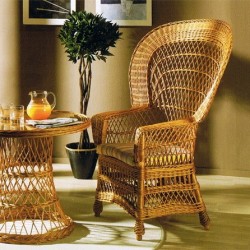 Comprar Sillón abanico buff brillo en CesteriaGretel.Com