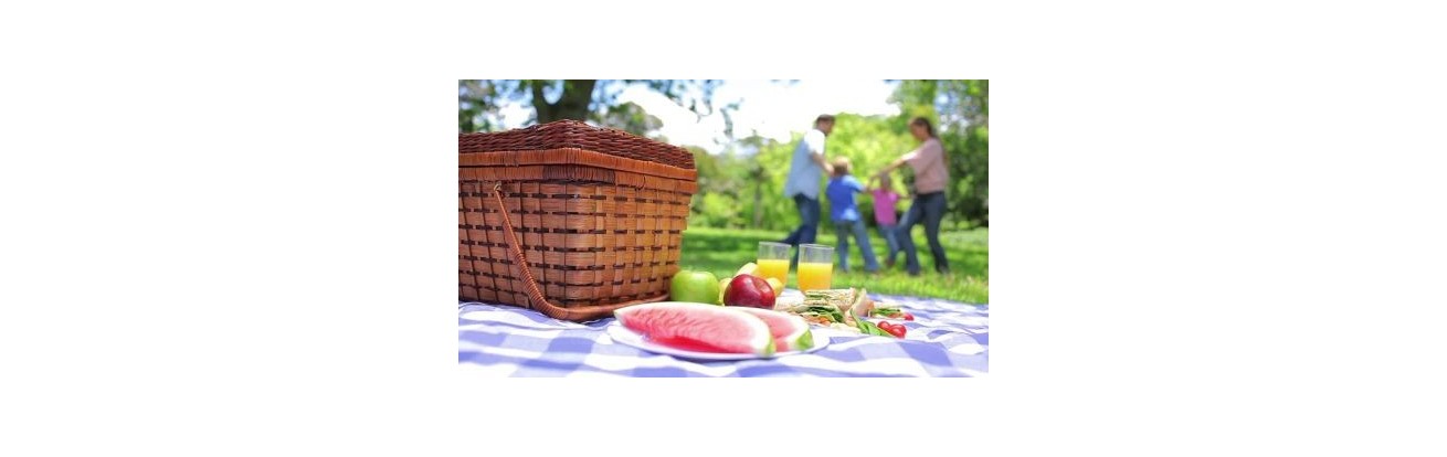 Cestas de Picnic